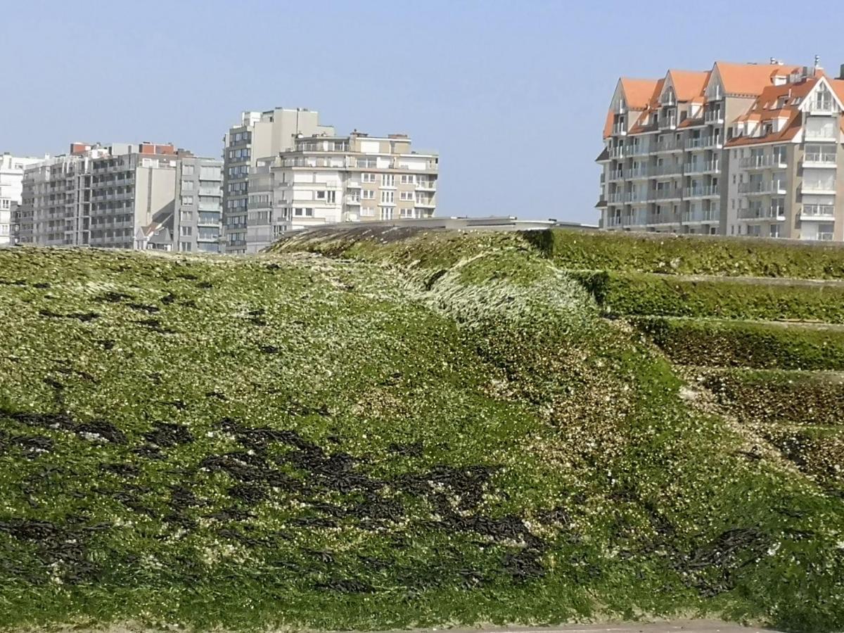 Westeinders Sea View 미들케르케 외부 사진